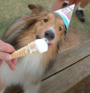 Bobby ice cream