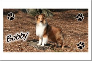 bobbytagsmall