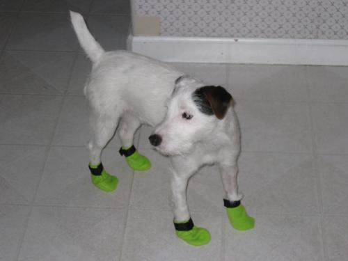 boots