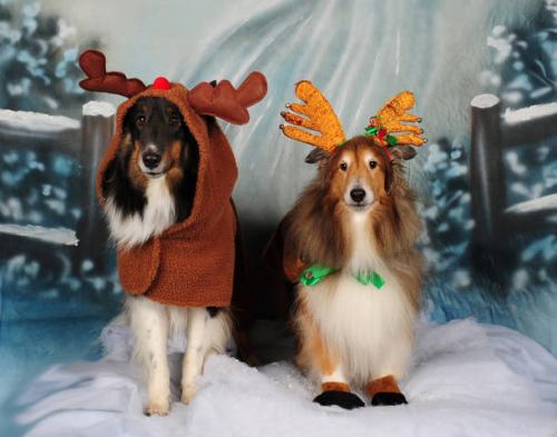 Boys Reindeer
