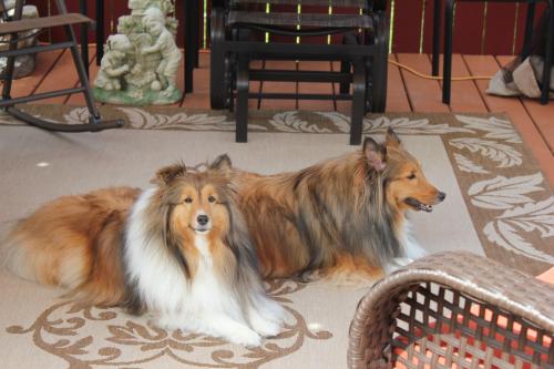 Brandi and Brady