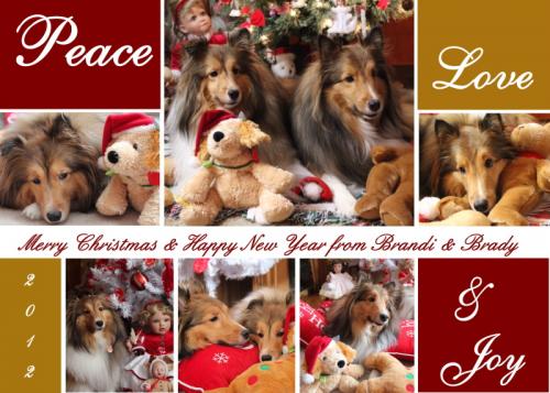 Brandi & Brady 2012 Christmas Card - Merry Christmas!