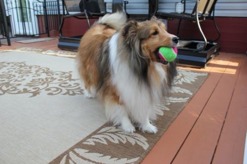 Brandi got the ball
