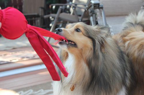 Brandi loves the Wubba