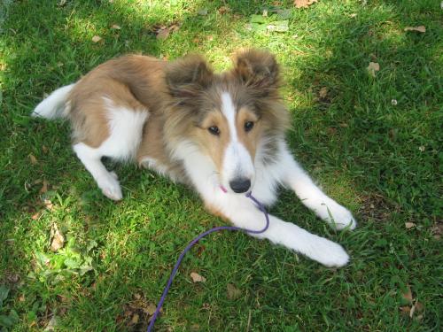 break from training in the park...