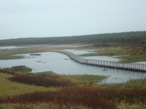 Camping in Prince Edward Island, this was a great hike in Greenwich National Park... Not supossed to take dogs, but there wasn't anybody else stupid e