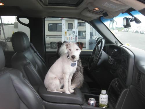 Can we go home now?