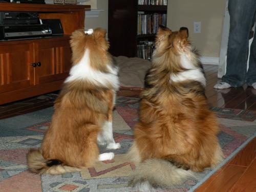 Can we have our treat now?!