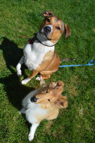 Chase and Annabelle