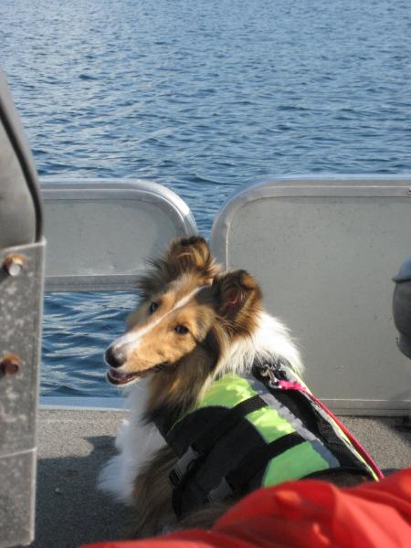 Chloe on the pontoon boat!