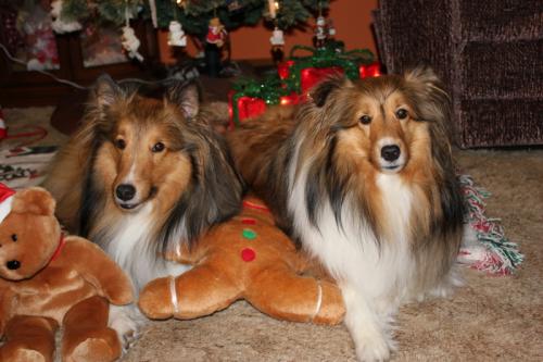 "Christmas don't be late!"