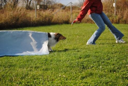 Chute = frisbee = speed!!!!!!