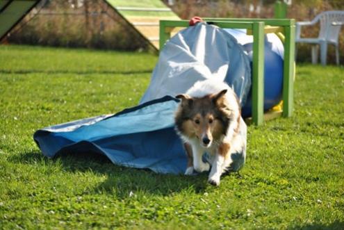 Chute2