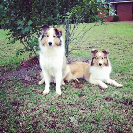 Cooper and Carter