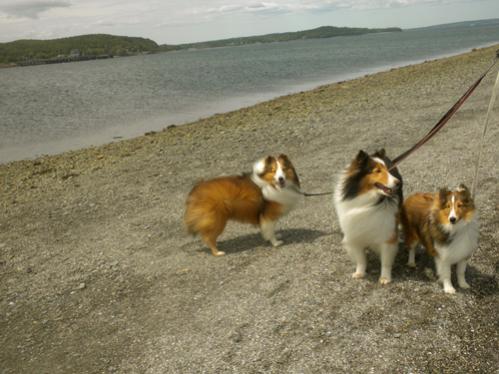 Crossing to Bar Island