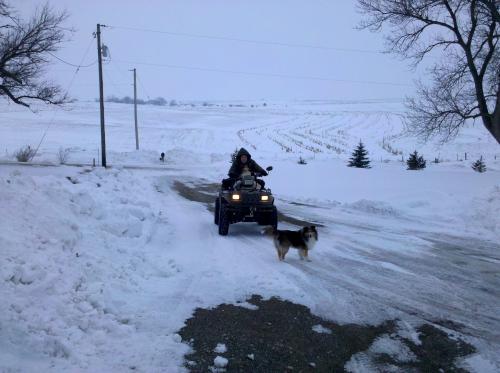 Daily exercise for one, ride for the other.