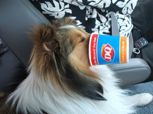 Dairy Queen, part two:
I laughed so hard I couldn't stop (and really freaked him out, by the way ...)!