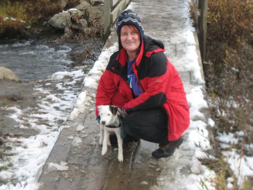 Darby, the first walk in snow.