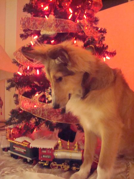 december 08
First Christmas