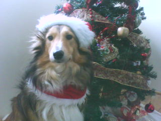 December 2009 095
