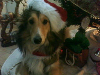December 2009 097