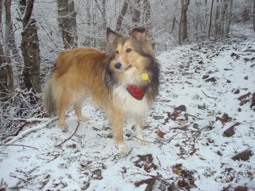 December 2011