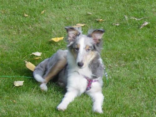 Deja at 4 months. She already knew she was a princess.