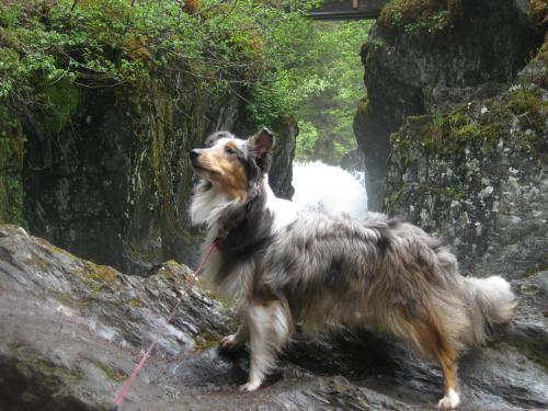 Deja striking a pose.