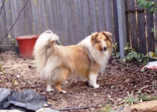Deska - 13 months