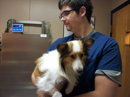 Dixie leaving for surgery