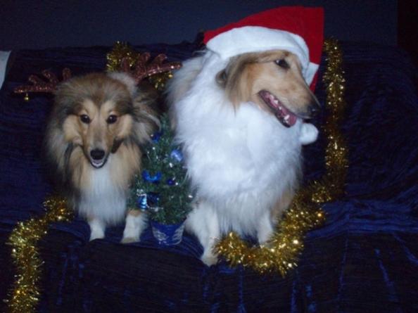 "Do you believe she made us wear this?"