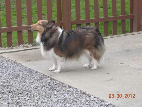 Does my butt look fat??