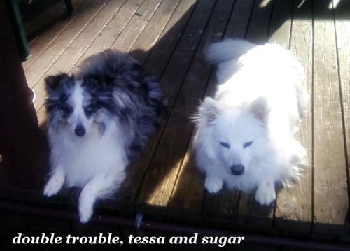 double trouble.