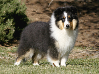 Echo 10 Months