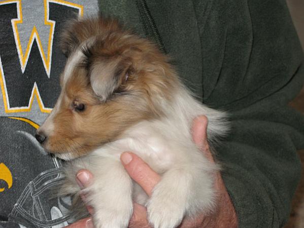Ellie's profile at 8 and a half weeks