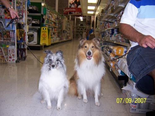 Ember and her brother Brodie.