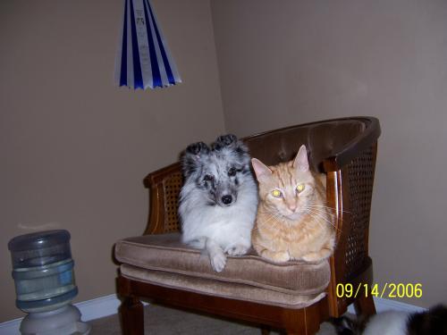 Ember and Tanner