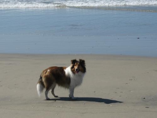 Ember lovin' life!