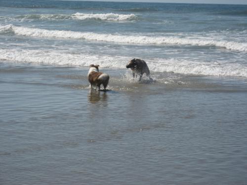 Ember with one of the stick guys...