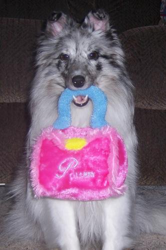 Ember's custom handbag