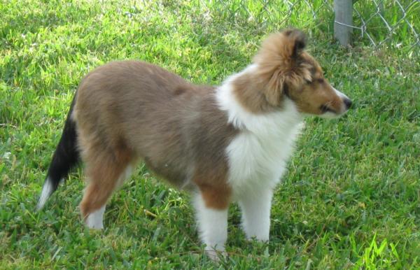 Enjoying her yard - 19 weeks