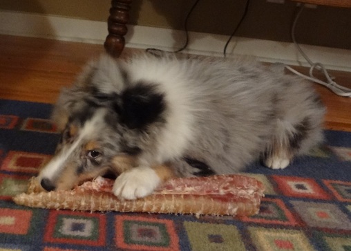 Enjoying one of my christmas presents from mom
