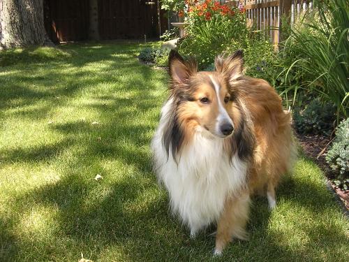 Enjoying the garden.