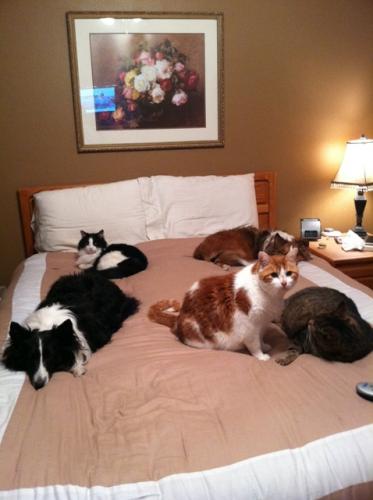 Everyone's ready for bed... now where do WE sleep?? :)