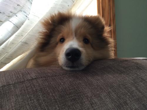 Face!