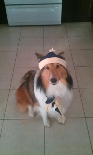 Fall collection 2012 modelled by Kyara :)