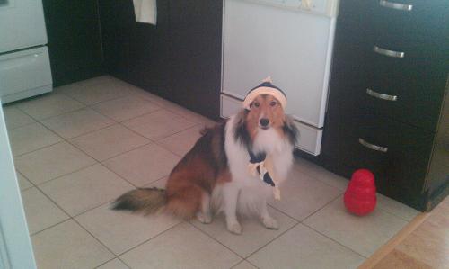 Fancy!