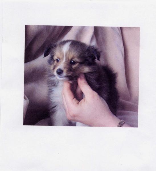 File0001 (2)