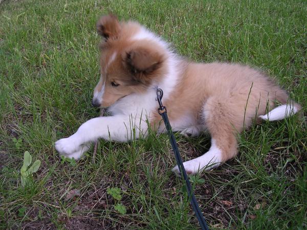 First day at my new home