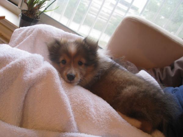 first day home watching TV